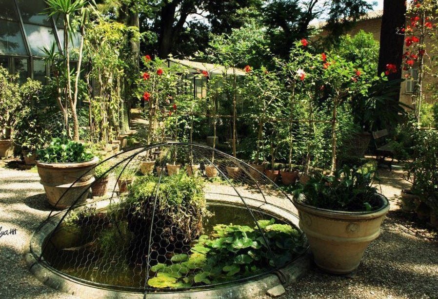 Orto Botanico dell'Università Politecnica delle Marche, Italy, Italy